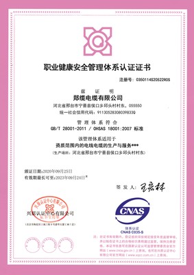 職業(yè)健康安全管理體系認(rèn)證證書